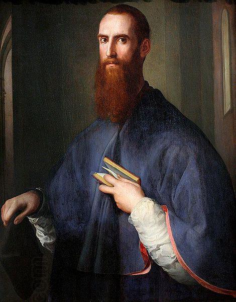 Jacopo Pontormo Portrat des Niccolo Ardinghelli oil painting picture